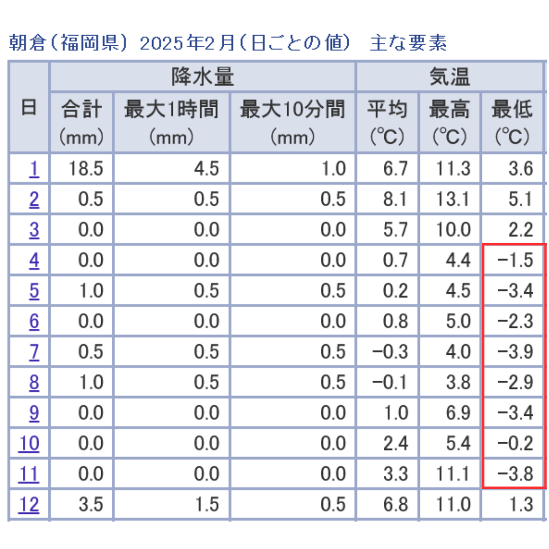 寒波、朝倉市、氷点下、凍結